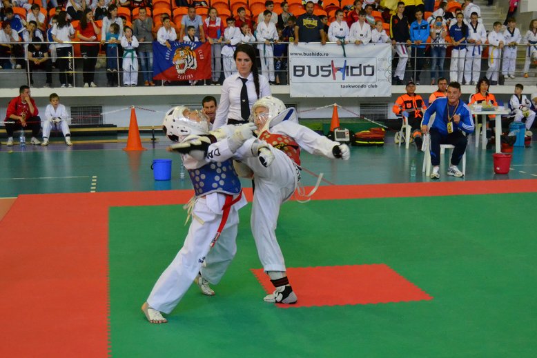 Asociatia Sportiva Bushido Taekwondo Club - Scoala de arte martiale