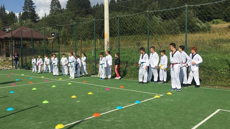 Asociatia Sportiva Bushido Taekwondo Club - Scoala de arte martiale