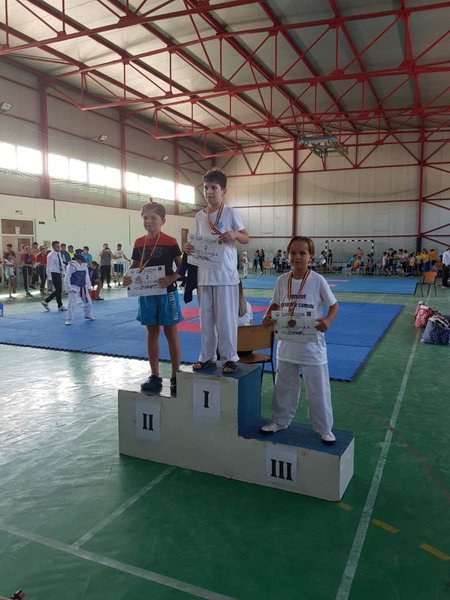 Asociatia Sportiva Bushido Taekwondo Club - Scoala de arte martiale