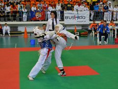 Asociatia Sportiva Bushido Taekwondo Club - Scoala de arte martiale