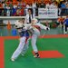 Asociatia Sportiva Bushido Taekwondo Club - Scoala de arte martiale